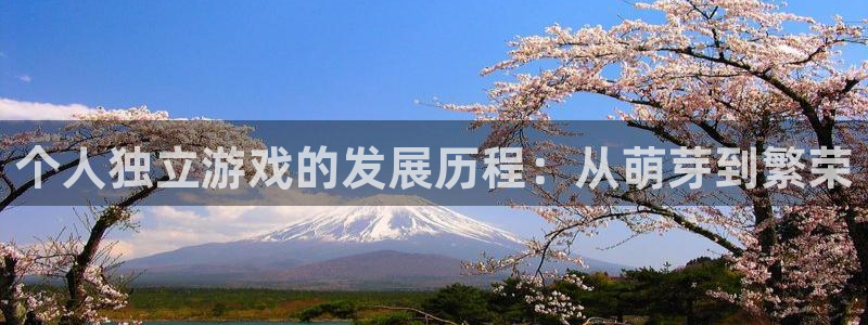杏耀啤酒多少钱一箱：个人独立游戏的发展历程：从萌芽到繁荣