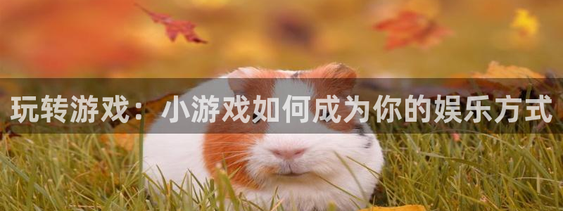 杏耀子文化是什么：玩转游戏：小游戏如何成为你的娱乐方式