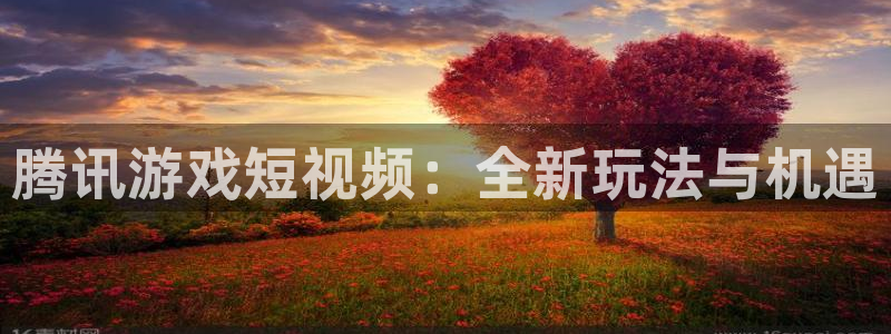 杏耀环境