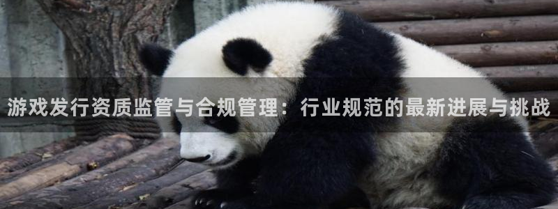 长沙杏耀子电子商务有限公司