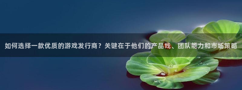 杏耀品牌顾问有限公司：如何选择一款优质的游戏发行商？关键在于他们的产品线、团队能力和市场策略