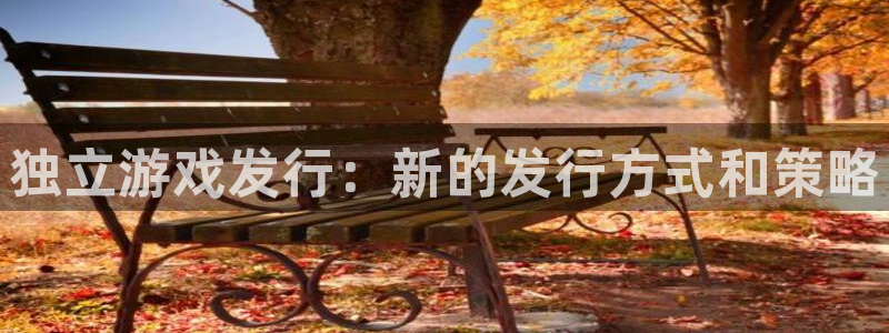 陕西杏耀子文化创意有限公司1：独立游戏发行：新的发行方式和策略