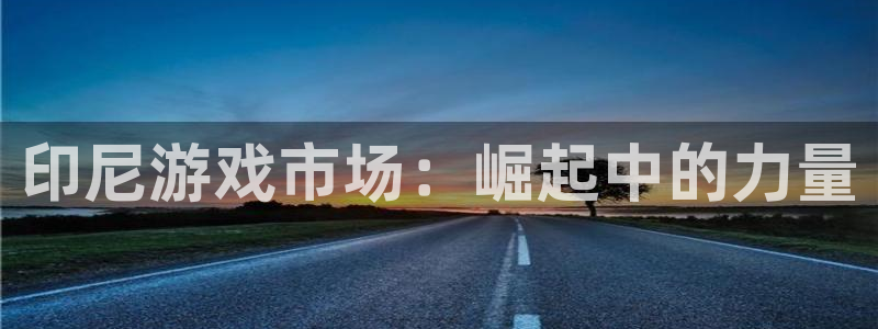 四川杏耀科技有限公司：印尼游戏市场：崛起中的力量