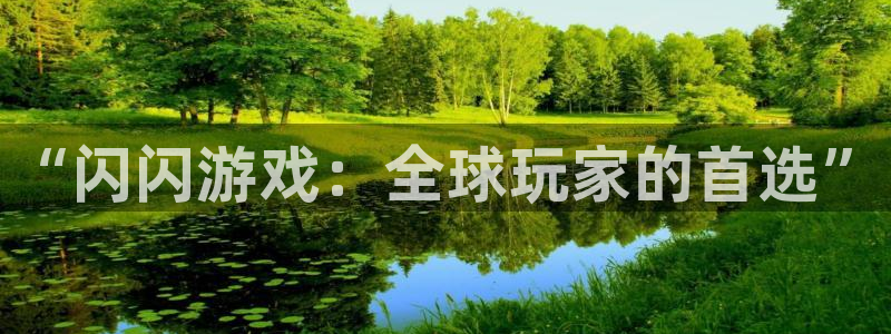 佛山杏耀电子商务：“闪闪游戏：全球玩家的首选”