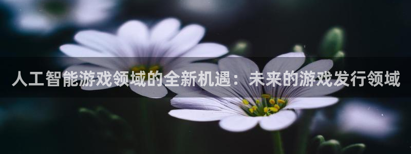 杏耀装饰