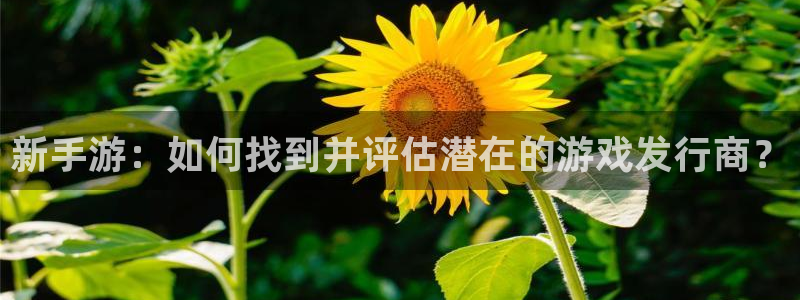 杏耀防水的质量怎么样