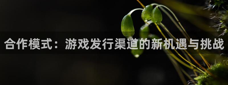 杏耀官网奇趣腾讯分分彩