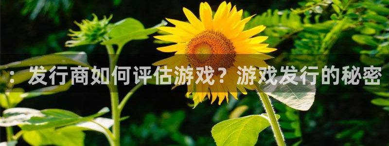杏耀官网分分彩：：发行商如何评估游戏？游戏发行的秘密
