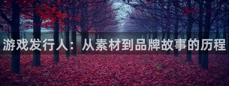 杏耀官网登录注册失败：游戏发行人：从素材到品牌故事的历程